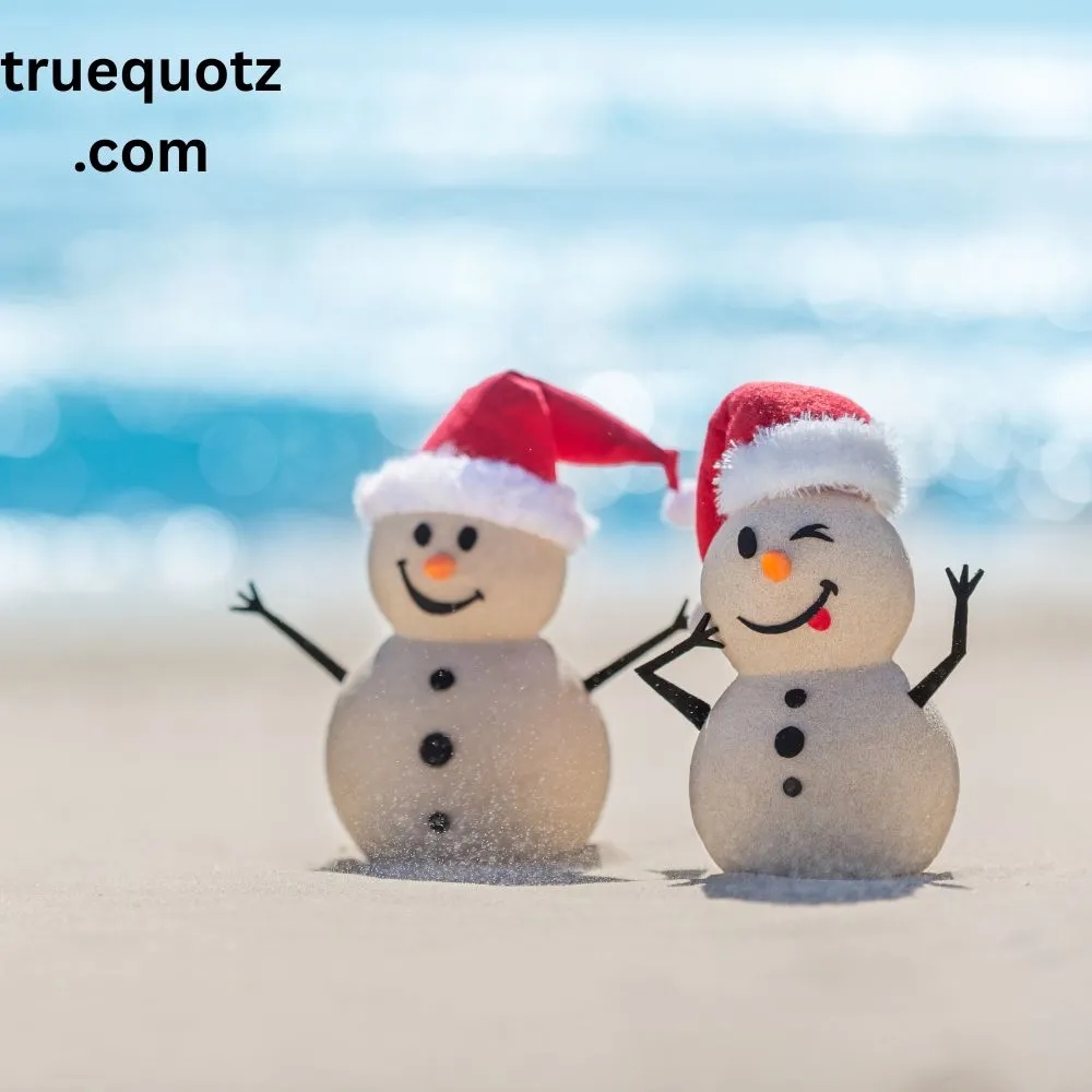 Cute Christmas Quotes Funny