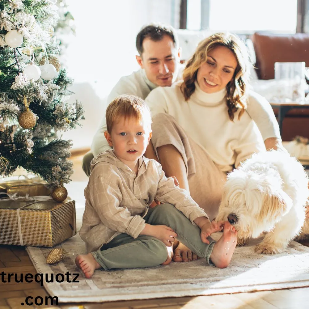 Family Christmas Quotes Funny