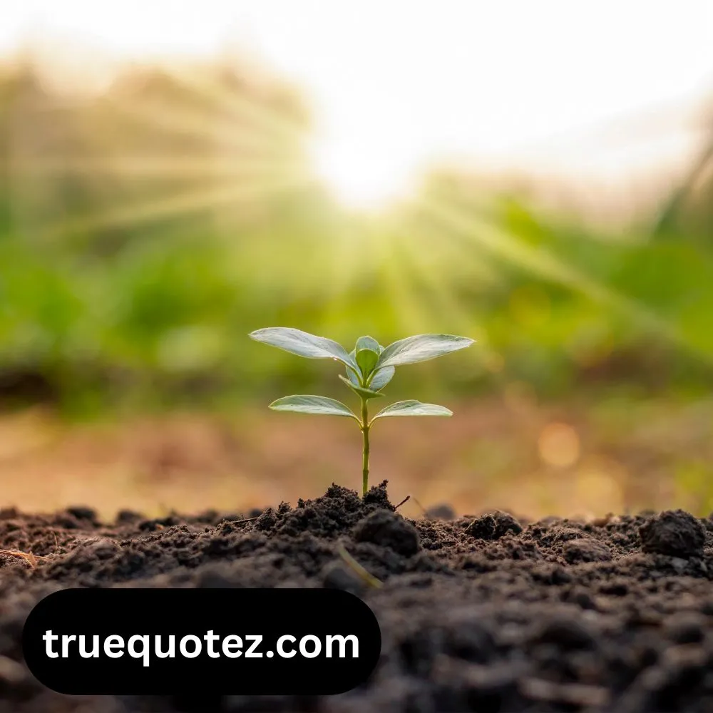 Good Morning Positive Quotes for the Day