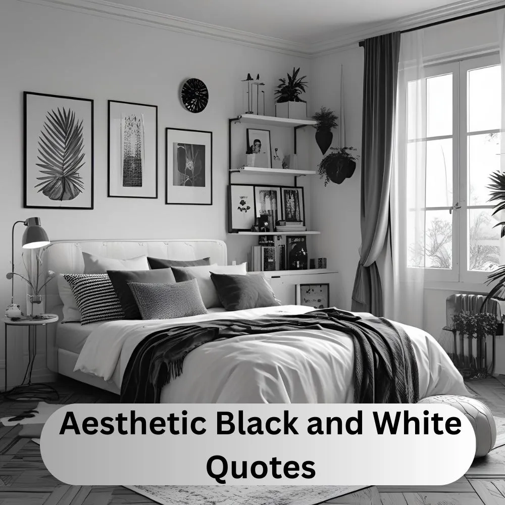 Aesthetic Black and White Quotes