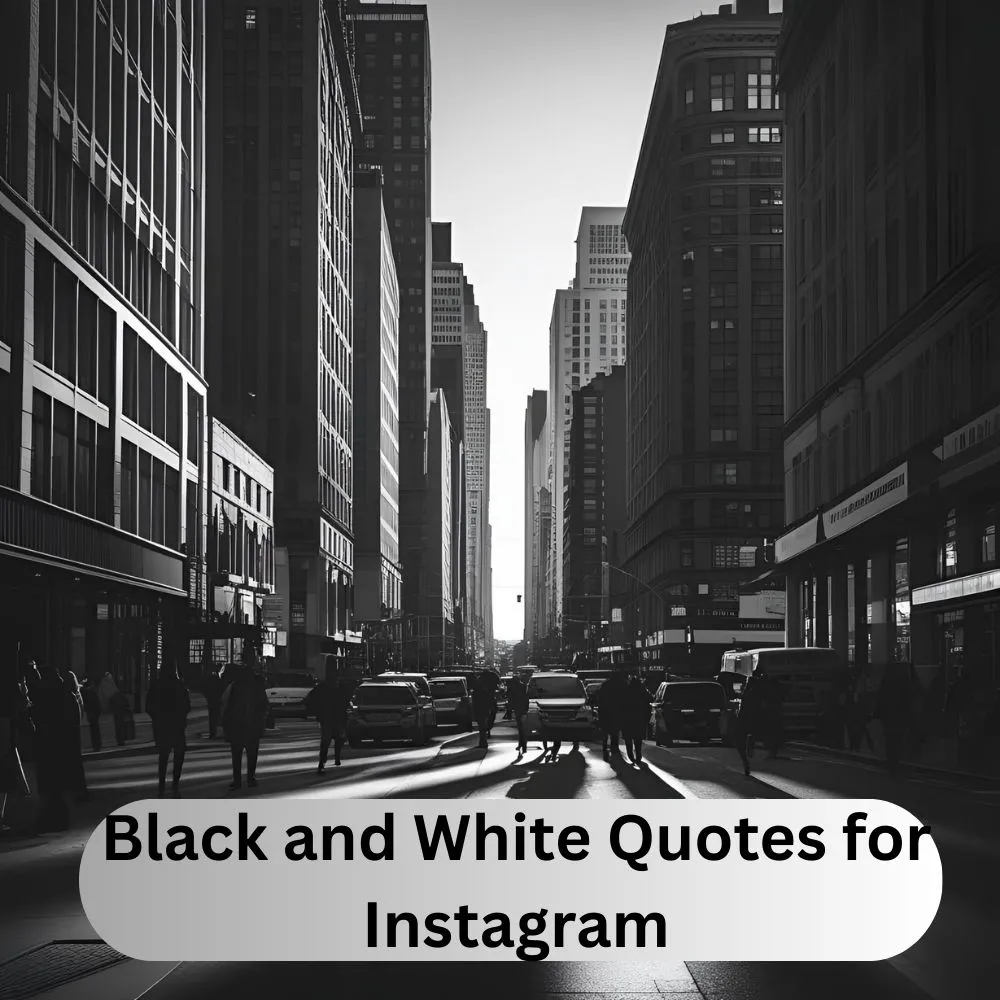 Black and White Quotes for Instagram