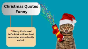 Read more about the article 500+Best Christmas Quotes Funny for 2025