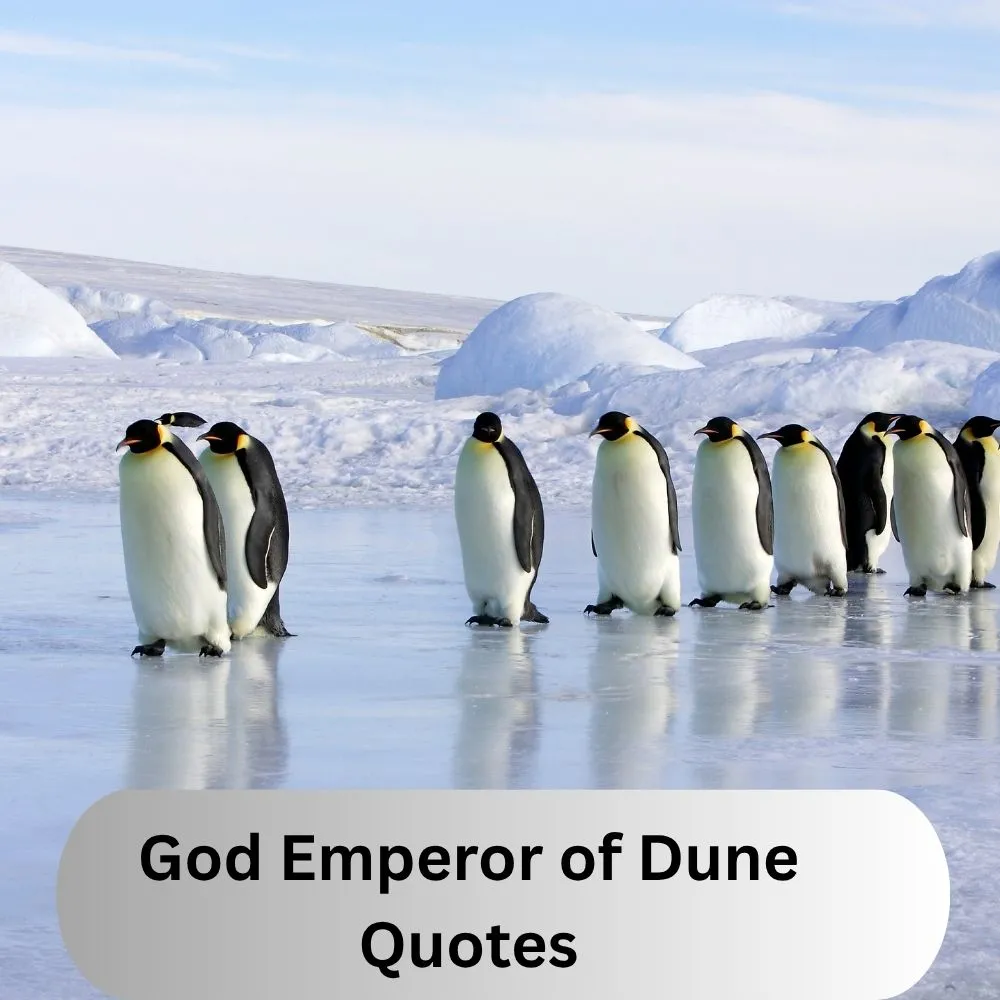 God Emperor of Dune Quotes