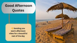 Read more about the article 200+Best Good Afternoon Quotes for 