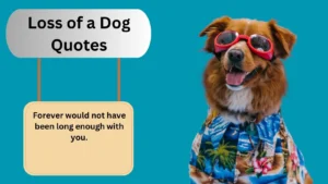 Read more about the article Top 300+Best Loss of a Dog Quotes for 2025