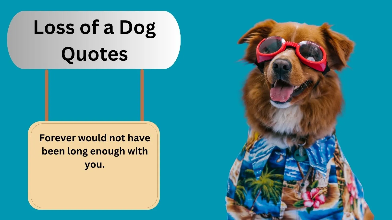 You are currently viewing Top 300+Best Loss of a Dog Quotes for 2025