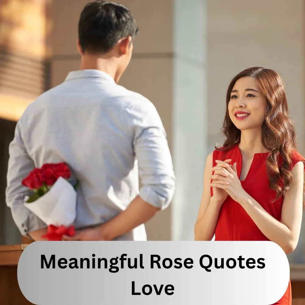 Meaningful Rose Quotes Love
