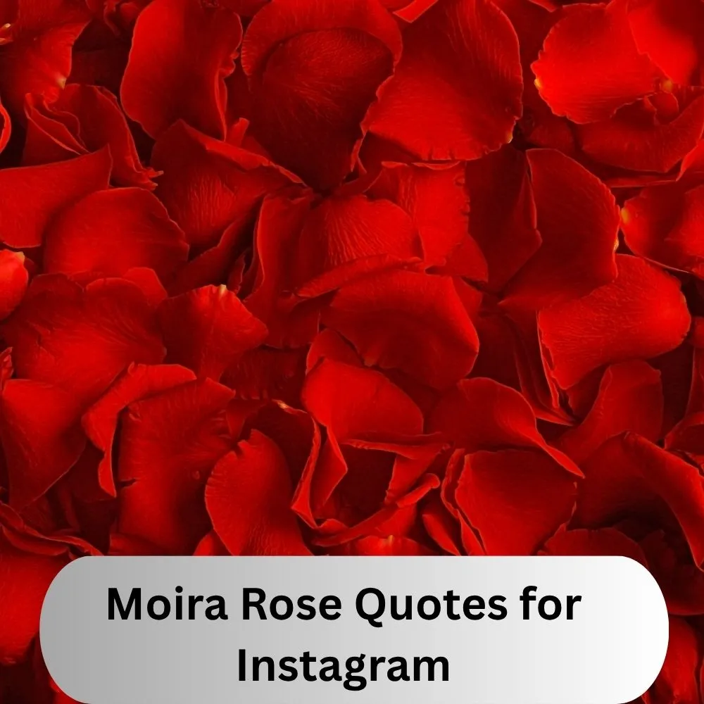 Moira Rose Quotes for Instagram