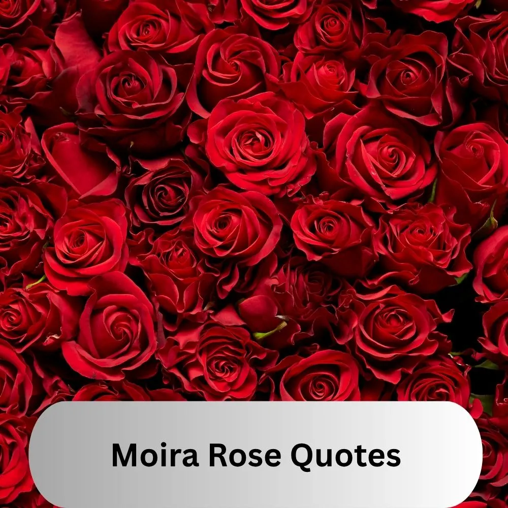 Moira Rose Quotes