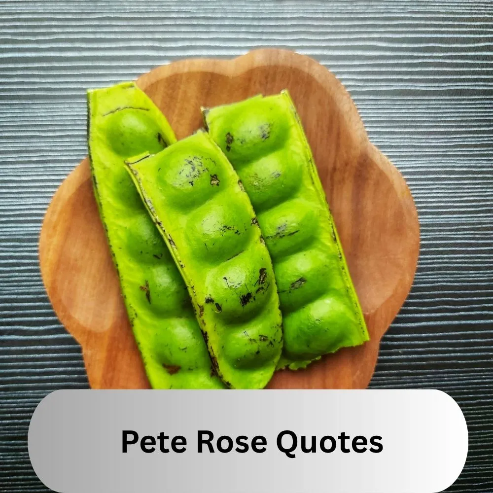Pete Rose Quotes