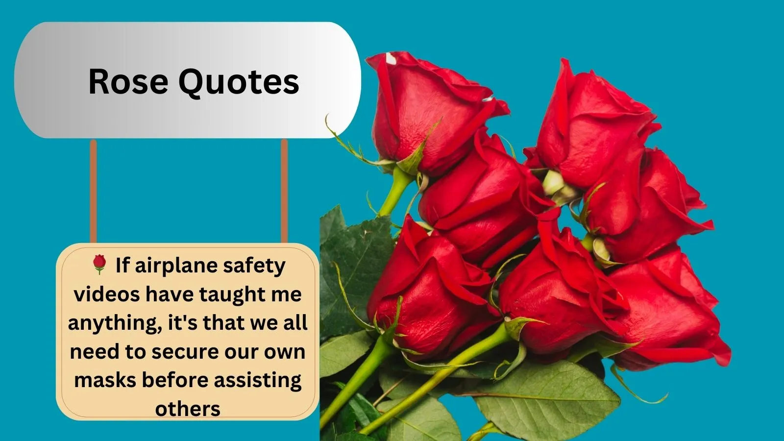 You are currently viewing Top 900+Best Rose Quotes for 2025 