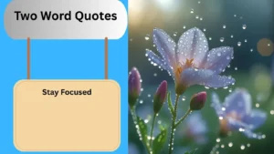 Read more about the article Top 300+ Best Two Word Quotes for 2025