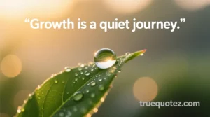 Read more about the article 45+ Life Lesson Quotes That Feel Like a Warm Hug for the Soul 💖