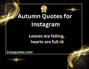 Read more about the article 65+🍂 Autumn Quotes for Instagram for 2026