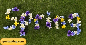 Read more about the article 213+Cute, Funny, and Short Spring Quotes for Instagram Captions 🌞 for 2026